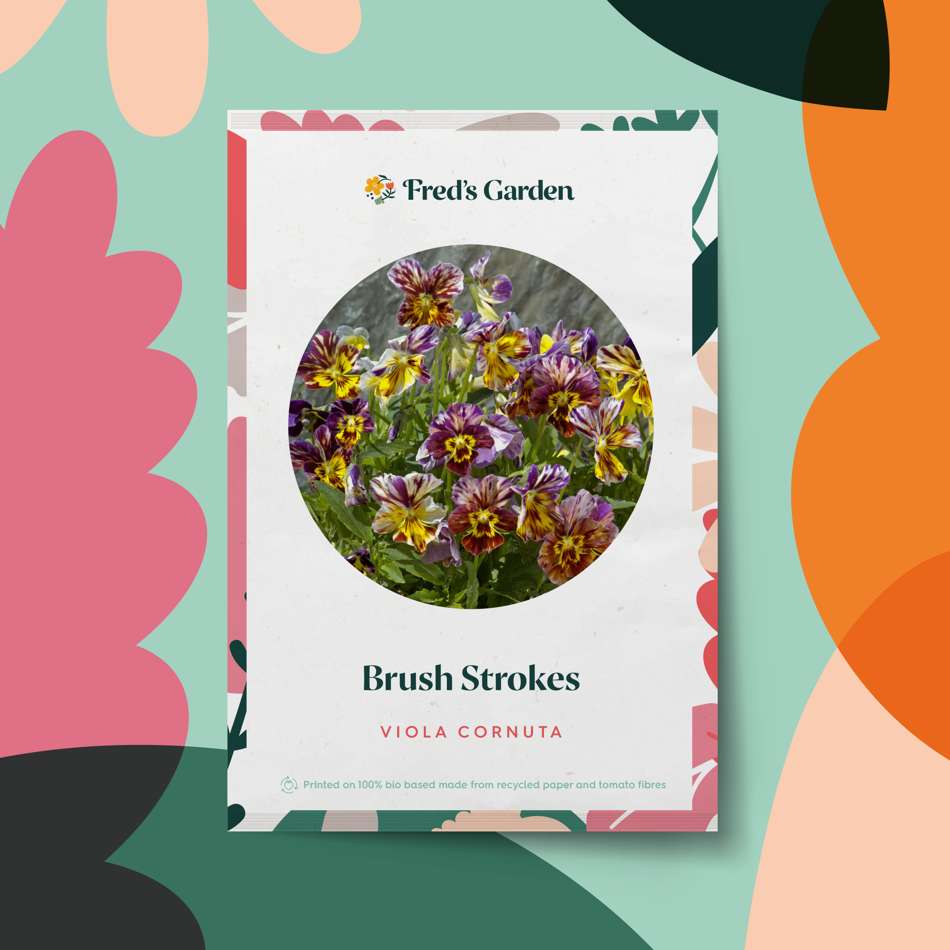 Bukettviol 'Brush Strokes' (frö)